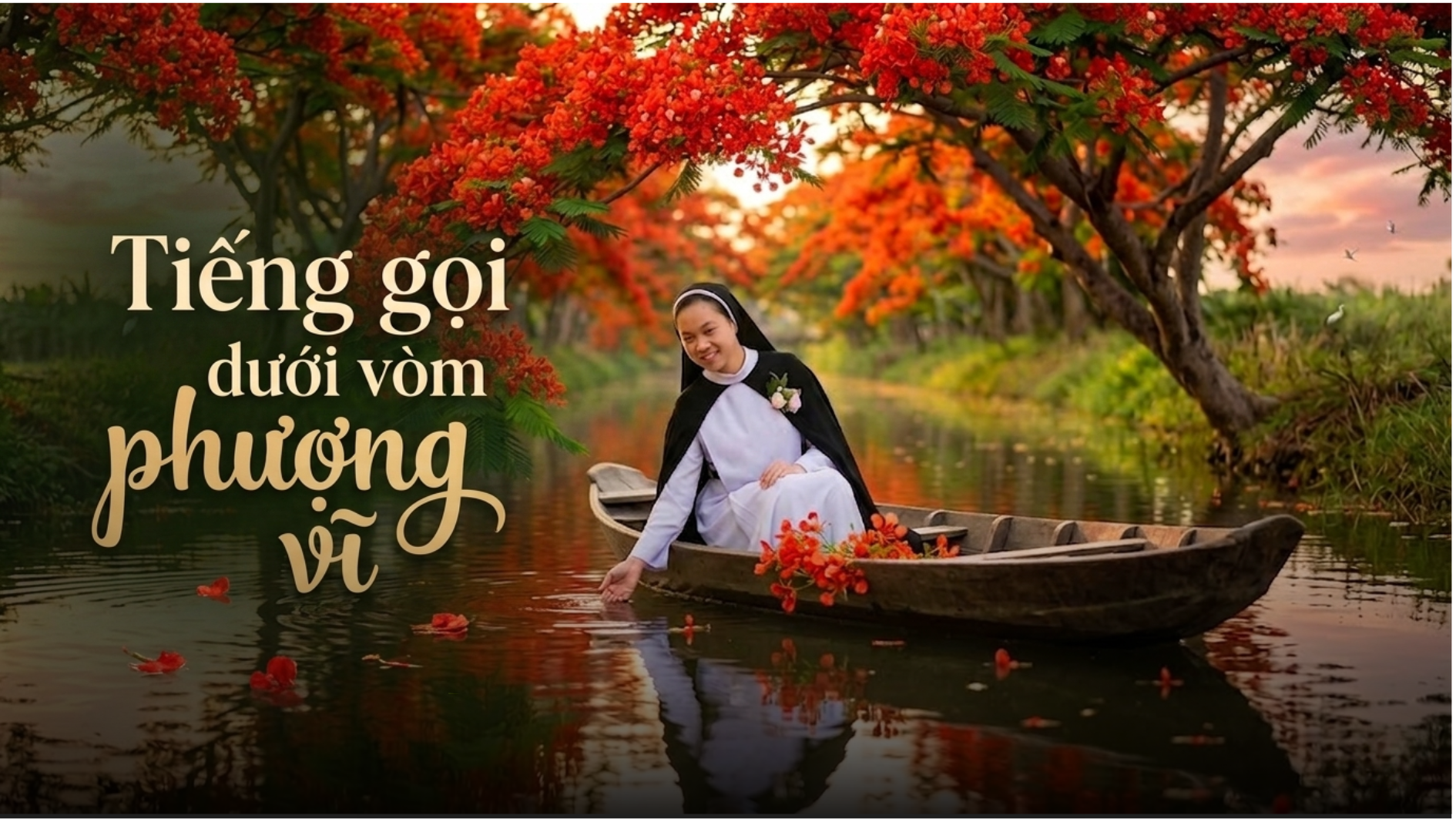 Tiếng gọi dưới vòm phượng vĩ